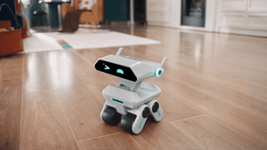 Robot toy